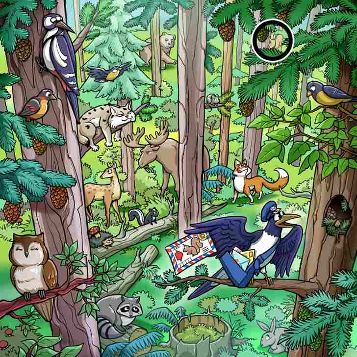 the squirrel is here